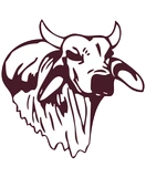 Hallettsville ISD